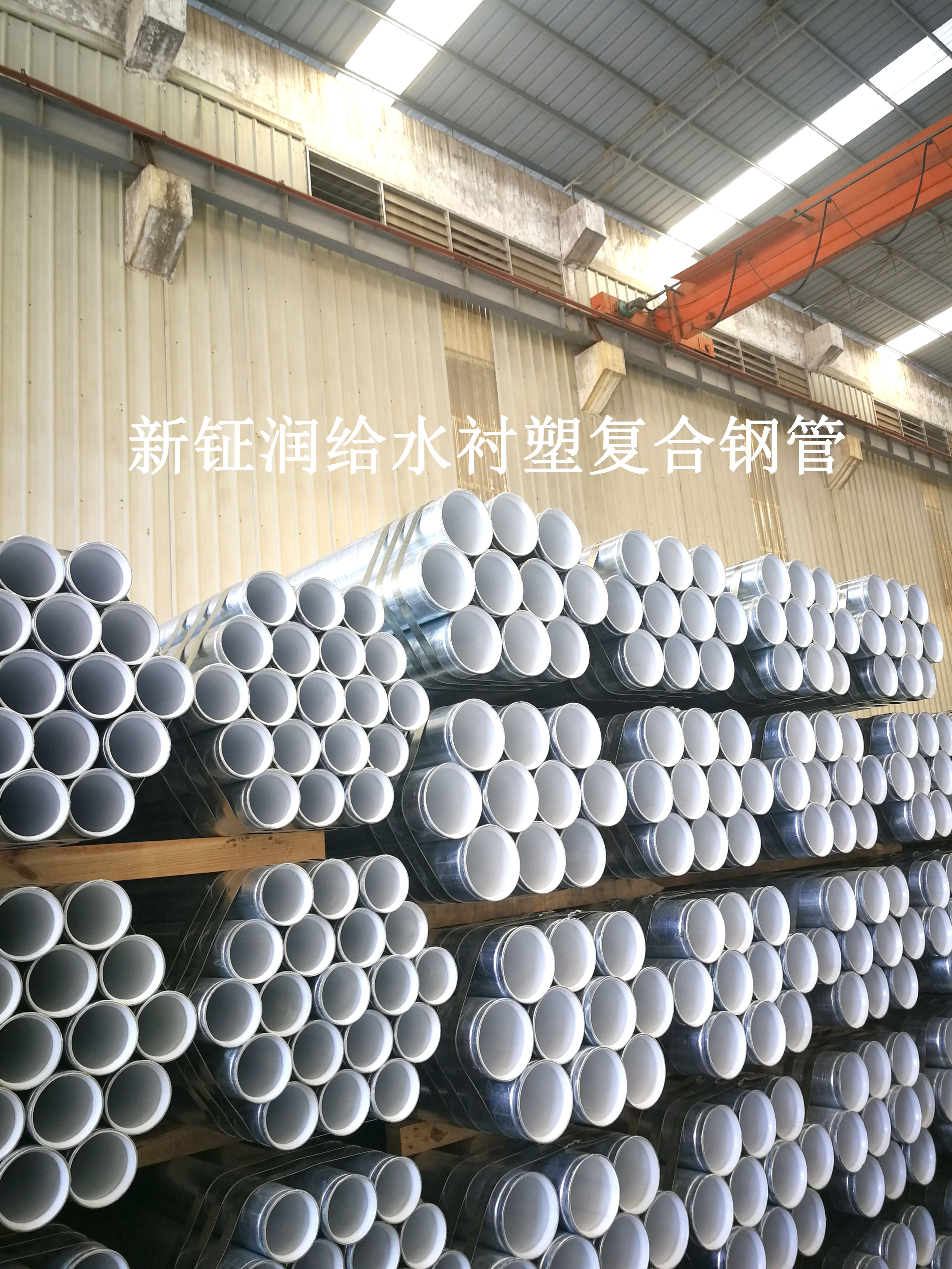 IMG_20260124_153726.jpg IMG_20260124_153726.jpg